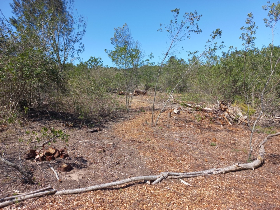 Commercial Property for Sale in Langvlei Dunes Western Cape